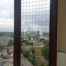 фотография №2