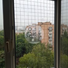 фотография №4