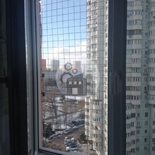 фотография №12