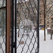 фотография №15